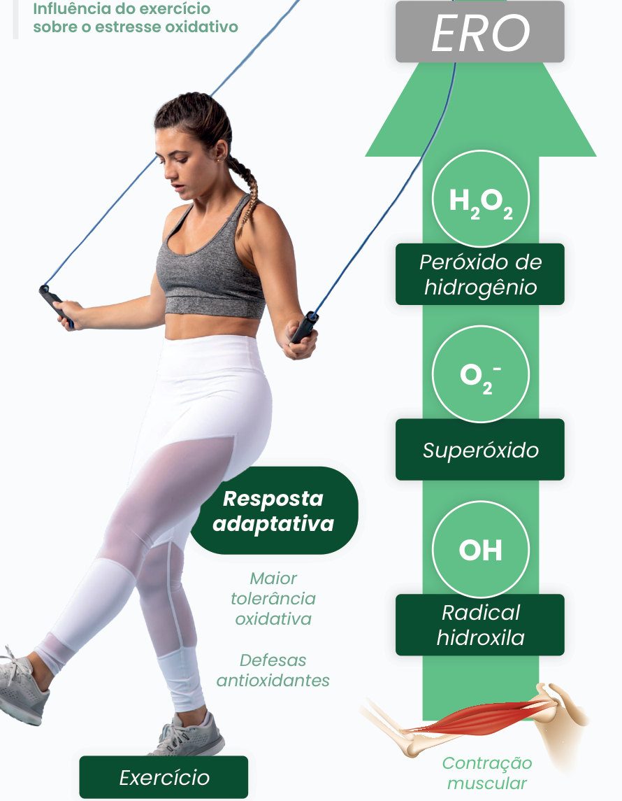 Figura 1: o exercício e a contração muscular aumentam as espécies reativas de oxigênio (peróxido de hidrogênio, superóxido e radical hidroxila), gerando resposta adaptativa, com maior tolerância oxidativa e defesas antioxidantes