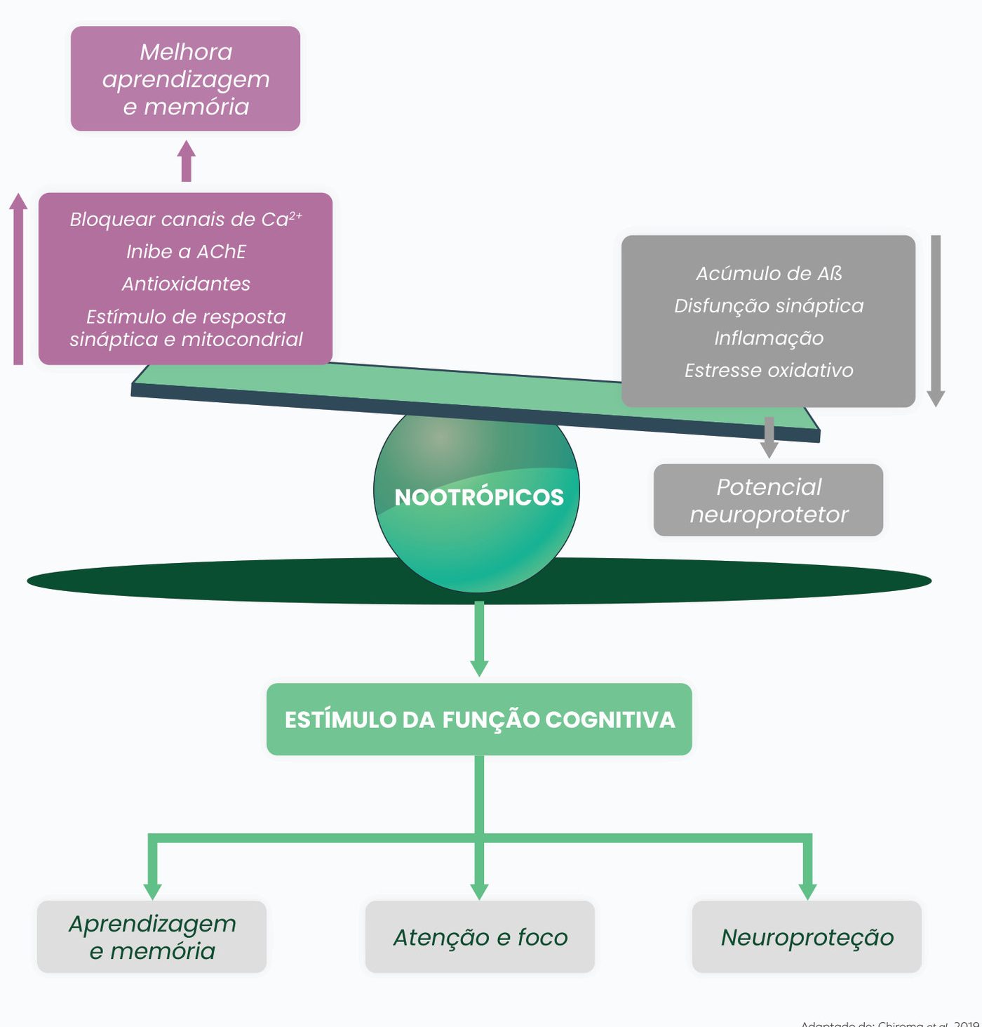 Figura 1: os nootrópicos bloqueiam canais de cálcio, inibem a AChE, têm ação antioxidante e estimulam a resposta sináptica e mitocondrial, melhorando aprendizagem e memória; reduzem acúmulo de Aβ, disfunção sináptica, inflamação e estresse oxidativo, com potencial neuroprotetor. Resultado: estímulo da função cognitiva, com aprendizagem e memória, atenção e foco e neuroproteção