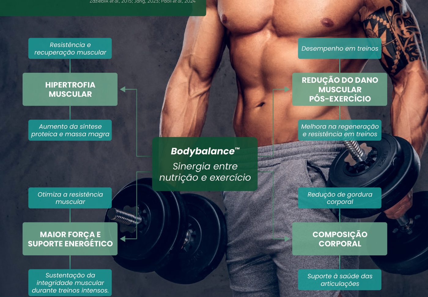 Figura 1: Bodybalance™, sinergia entre nutrição e exercício, leva a hipertrofia muscular (resistência e recuperação, aumento da síntese proteica e massa magra), redução do dano muscular pós-exercício (desempenho e regeneração), maior força e suporte energético (resistência e integridade muscular) e composição corporal (redução de gordura e suporte às articulações)