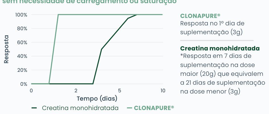 Gráfico 1: resposta à suplementação ao longo de 10 dias; Clonapure® atinge 100% de resposta no 1º dia (3 g), enquanto a creatina monoidratada só atinge após cerca de 7 dias na dose maior (20 g), equivalente a 21 dias na dose menor (3 g)