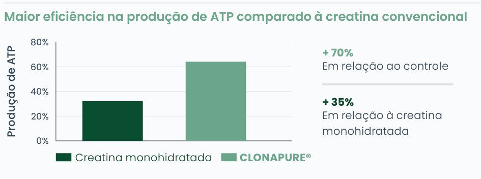 Gráfico 2: produção de ATP com Clonapure® cerca de 64% contra 32% da creatina monoidratada; aumento de 70% em relação ao controle e de 35% em relação à creatina monoidratada