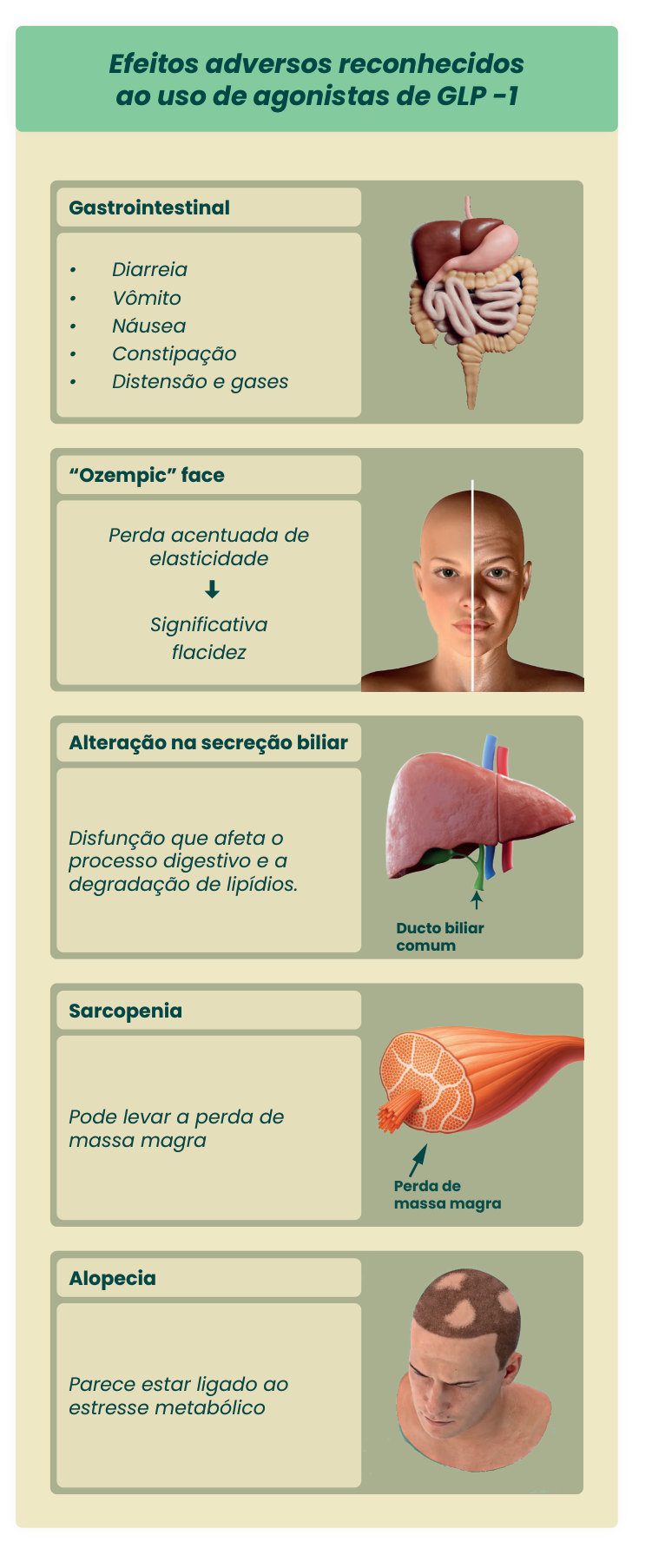 Figura 1: efeitos adversos reconhecidos dos agonistas de GLP-1: gastrointestinais (diarreia, vômito, náusea, constipação, distensão e gases); Ozempic face (perda acentuada de elasticidade e flacidez significativa); alteração na secreção biliar (afeta digestão e degradação de lipídios); sarcopenia (perda de massa magra); e alopecia (ligada ao estresse metabólico)