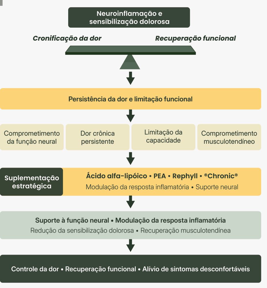Figura 1: neuroinflamação e sensibilização dolorosa levam à cronificação da dor, com persistência da dor e limitação funcional; a suplementação estratégica (ácido alfa-lipoico, PEA, Rephyll e Chronic) modula a resposta inflamatória e dá suporte neural, levando ao controle da dor, recuperação funcional e alívio de sintomas