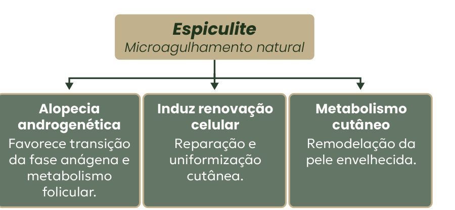 Figura 1: espiculite, microagulhamento natural, atua na alopecia androgenética (favorece a fase anágena e o metabolismo folicular), induz renovação celular (reparação e uniformização cutânea) e no metabolismo cutâneo (remodelação da pele envelhecida)