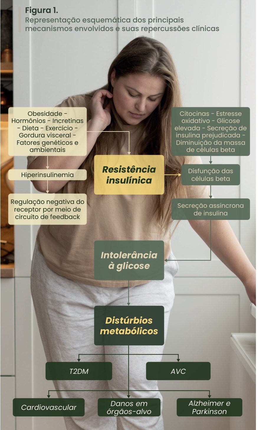 Figura 1: obesidade, hormônios, incretinas, dieta, exercício, gordura visceral e fatores genéticos e ambientais levam à resistência insulínica, com hiperinsulinemia e regulação negativa do receptor; citocinas, estresse oxidativo e glicose elevada levam à disfunção e secreção assíncrona das células beta; o quadro evolui para intolerância à glicose e distúrbios metabólicos: diabetes tipo 2, AVC, doença cardiovascular, danos em órgãos-alvo, Alzheimer e Parkinson