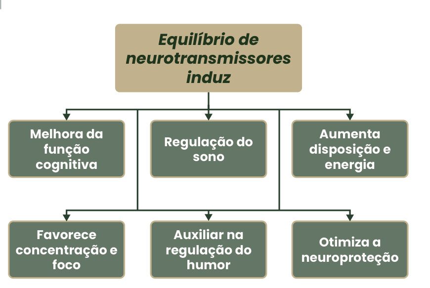 Figura 2: o equilíbrio de neurotransmissores induz melhora da função cognitiva, regulação do sono, aumento de disposição e energia, concentração e foco, regulação do humor e neuroproteção