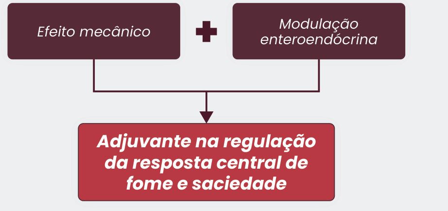 Figura 2: efeito mecânico somado à modulação enteroendócrina resulta em adjuvante na regulação da resposta central de fome e saciedade