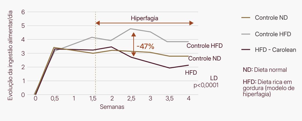 Gráfico da evolução da ingestão alimentar diária ao longo de 4 semanas: a partir da hiperfagia (1,5 semana), o grupo HFD com Carolean reduziu a ingestão em 47% em relação ao controle HFD, ficando abaixo do controle com dieta normal (p<0,0001)