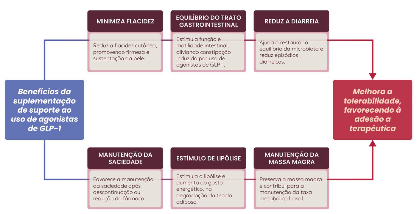 Figura 2: os benefícios da suplementação de suporte ao uso de agonistas de GLP-1 incluem minimizar a flacidez, equilibrar o trato gastrointestinal, reduzir a diarreia, manter a saciedade, estimular a lipólise e manter a massa magra, o que melhora a tolerabilidade e favorece a adesão à terapêutica