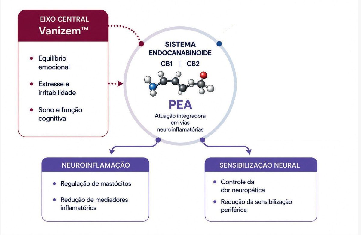 Figura 1: o Vanizem™ atua no eixo central (equilíbrio emocional, estresse e irritabilidade, sono e função cognitiva) e a PEA tem atuação integradora em vias neuroinflamatórias do sistema endocanabinoide (CB1 e CB2), com efeito na neuroinflamação (regulação de mastócitos e redução de mediadores inflamatórios) e na sensibilização neural (controle da dor neuropática e redução da sensibilização periférica)