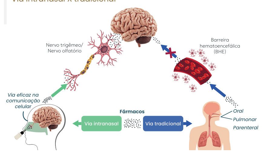 Figura 1: pela via intranasal os fármacos seguem pelos nervos trigêmeo e olfatório diretamente ao cérebro, uma via eficaz na comunicação celular; pela via tradicional (oral, pulmonar e parenteral) precisam atravessar a barreira hematoencefálica
