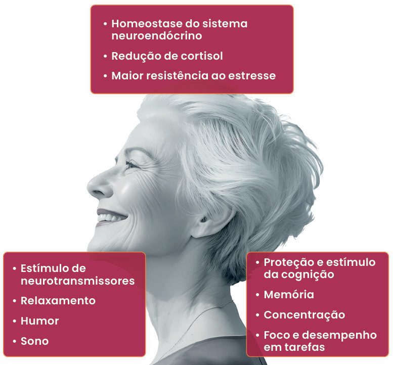 Ilustração com mulher idosa sorrindo e os efeitos da suplementação: homeostase do sistema neuroendócrino, redução de cortisol e maior resistência ao estresse; estímulo de neurotransmissores, relaxamento, humor e sono; proteção e estímulo da cognição, memória, concentração, foco e desempenho em tarefas