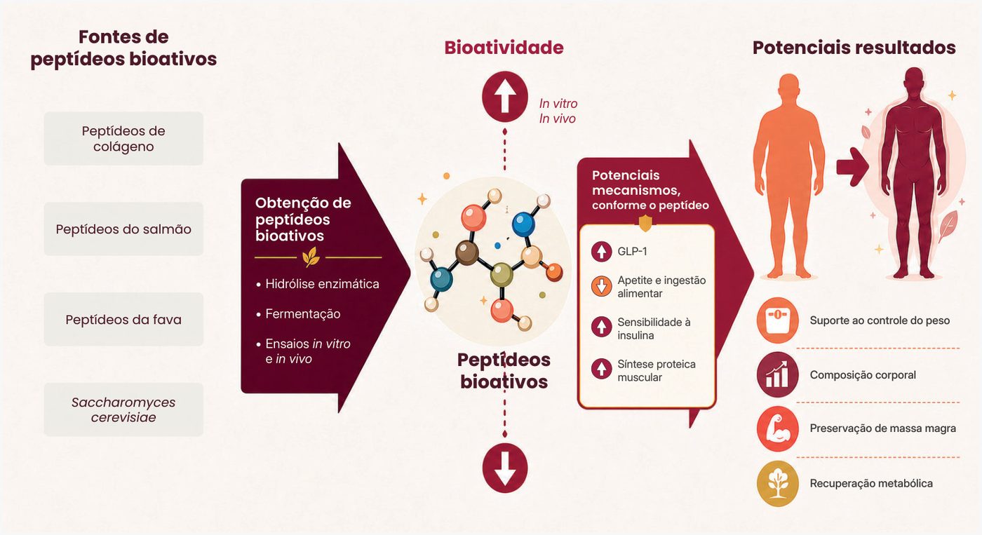 Figura 1: fontes de peptídeos bioativos (colágeno, salmão, fava e Saccharomyces cerevisiae) passam por hidrólise enzimática, fermentação e ensaios in vitro e in vivo; os peptídeos bioativos atuam aumentando GLP-1, sensibilidade à insulina e síntese proteica muscular e reduzindo apetite e ingestão alimentar, com potenciais resultados de suporte ao controle do peso, composição corporal, preservação de massa magra e recuperação metabólica