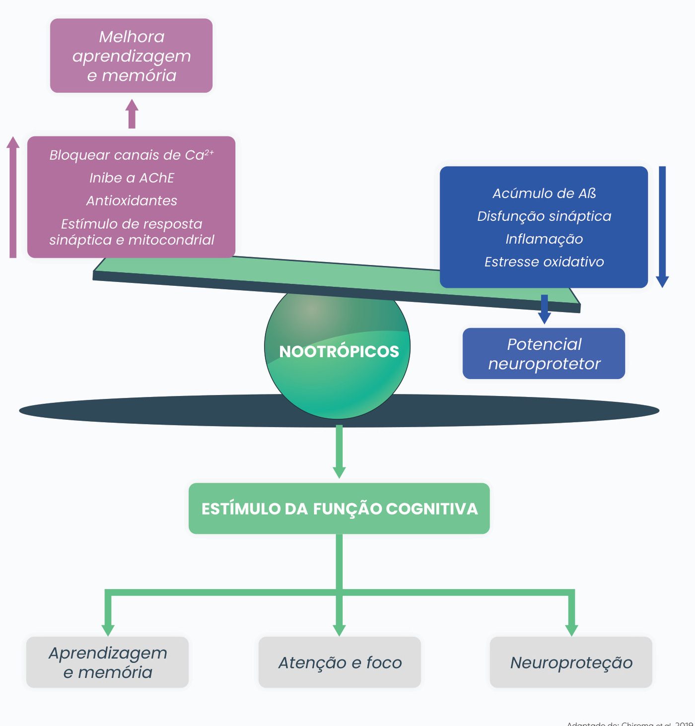 Figura 1: os nootrópicos bloqueiam canais de cálcio, inibem a AChE, têm ação antioxidante e estimulam a resposta sináptica e mitocondrial, melhorando aprendizagem e memória; reduzem acúmulo de Aβ, disfunção sináptica, inflamação e estresse oxidativo, com potencial neuroprotetor. Resultado: estímulo da função cognitiva, com aprendizagem e memória, atenção e foco e neuroproteção