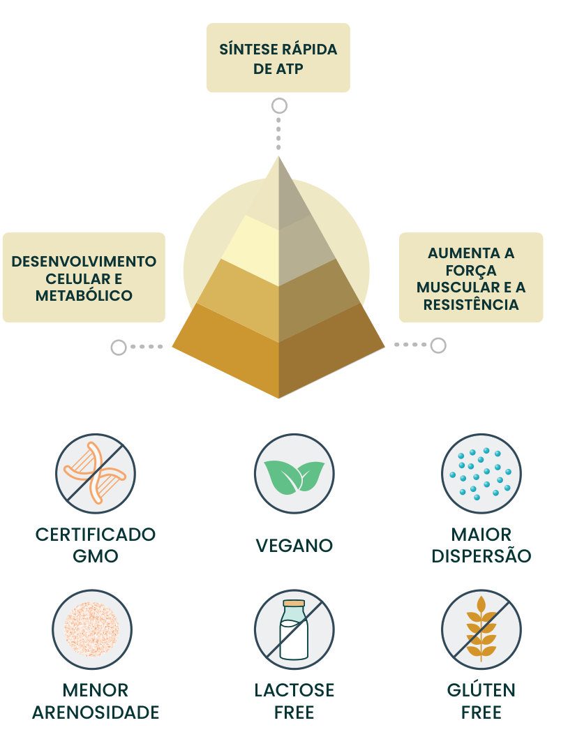 Figura 2: o Clonapure® promove síntese rápida de ATP, desenvolvimento celular e metabólico e aumento da força muscular e da resistência; é certificado não GMO, vegano, de maior dispersão, menor arenosidade, sem lactose e sem glúten