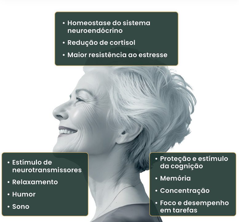 Ilustração com mulher idosa sorrindo e os efeitos da suplementação: homeostase do sistema neuroendócrino, redução de cortisol e maior resistência ao estresse; estímulo de neurotransmissores, relaxamento, humor e sono; proteção e estímulo da cognição, memória, concentração, foco e desempenho em tarefas